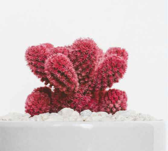 电话在线轰炸网页版